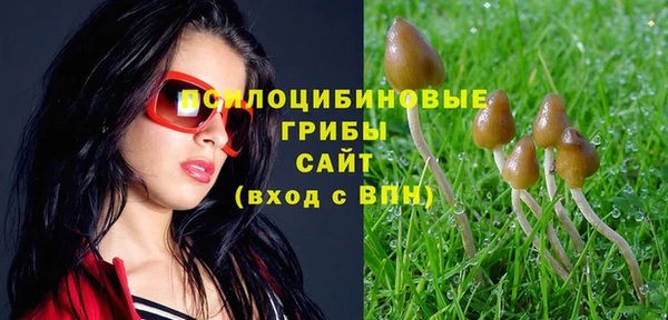 Альфа ПВП Красноперекопск