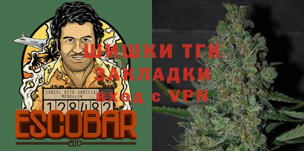 сатива Алексеевка