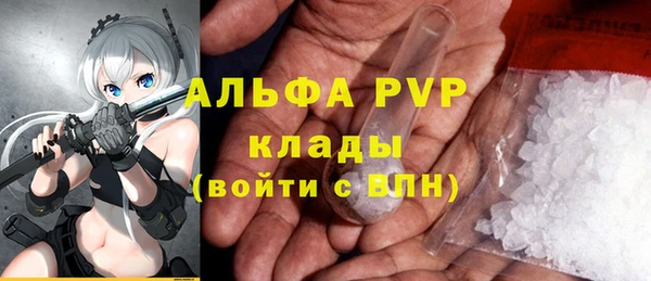 сатива Алексеевка