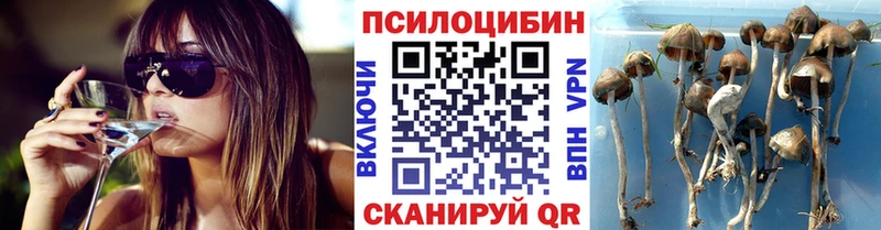 купить наркоту  Азов  Галлюциногенные грибы мухоморы 