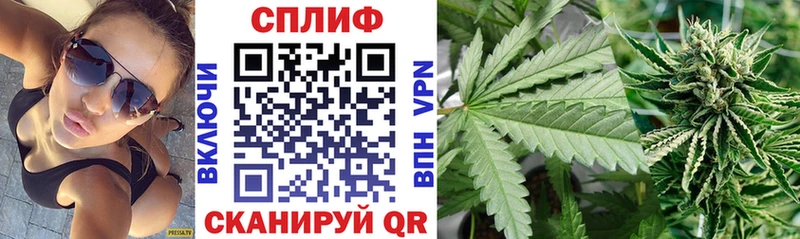 Бошки марихуана гибрид  наркотики  Азов 